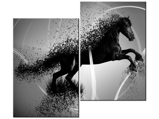 Obraz Czarno biały koń fragmentaryzacja - Jakub Banaś, 2 elementy, 80x70 cm Oobrazy