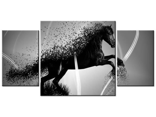 Obraz Czarno biały koń fragmentaryzacja - Jakub Banaś, 3 elementy, 80x40 cm Oobrazy