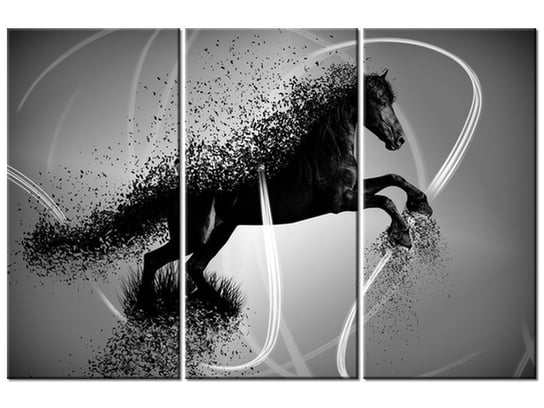 Obraz Czarno biały koń fragmentaryzacja - Jakub Banaś, 3 elementy, 90x60 cm Oobrazy