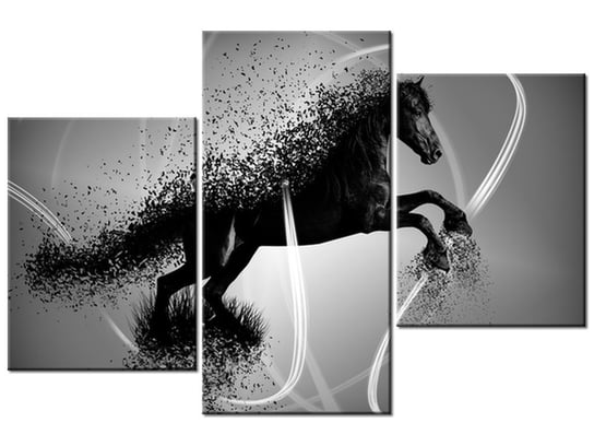 Obraz Czarno biały koń fragmentaryzacja - Jakub Banaś, 3 elementy, 90x60 cm Oobrazy