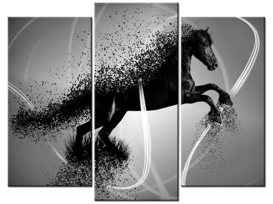 Obraz Czarno biały koń fragmentaryzacja - Jakub Banaś, 3 elementy, 90x70 cm Oobrazy