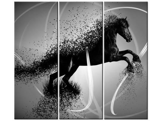 Obraz Czarno biały koń fragmentaryzacja - Jakub Banaś, 3 elementy, 90x80 cm Oobrazy