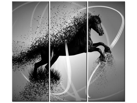 Obraz Czarno biały koń fragmentaryzacja - Jakub Banaś, 3 elementy, 90x80 cm Oobrazy