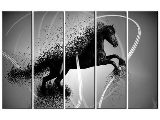 Obraz Czarno biały koń fragmentaryzacja - Jakub Banaś, 5 elementów, 100x63 cm Oobrazy