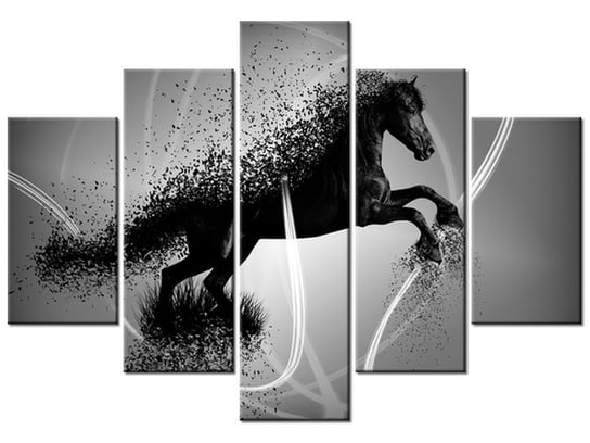 Obraz Czarno biały koń fragmentaryzacja - Jakub Banaś, 5 elementów, 150x105 cm Oobrazy