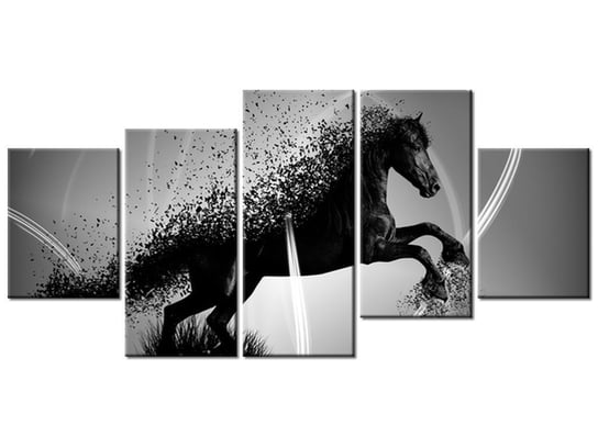 Obraz Czarno biały koń fragmentaryzacja - Jakub Banaś, 5 elementów, 150x70 cm Oobrazy