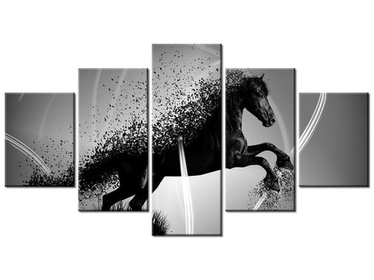 Obraz Czarno biały koń fragmentaryzacja - Jakub Banaś, 5 elementów, 150x80 cm Oobrazy