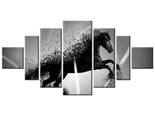 Obraz Czarno biały koń fragmentaryzacja - Jakub Banaś, 7 elementów, 200x100 cm Oobrazy