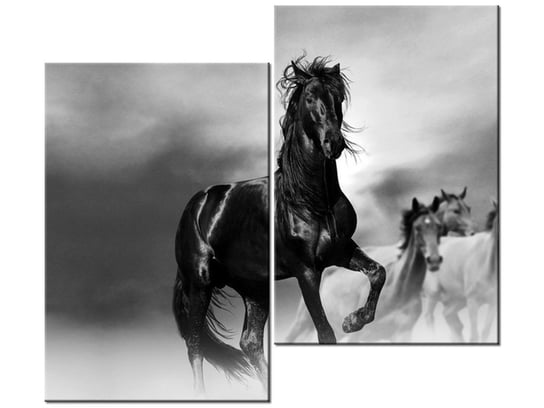 Obraz Czarny koń, 2 elementy, 80x70 cm Oobrazy