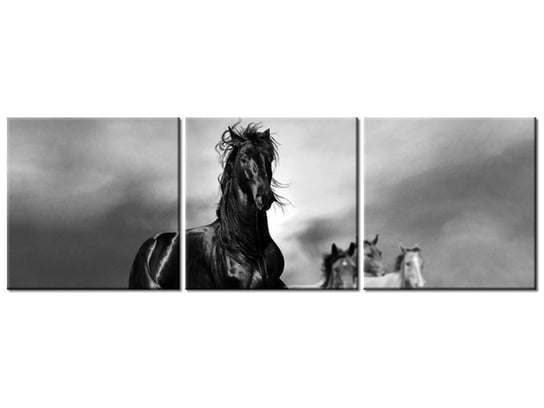 Obraz Czarny koń, 3 elementy, 90x30 cm Oobrazy