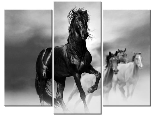 Obraz, Czarny koń, 3 elementy, 90x70 cm Oobrazy