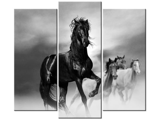 Obraz Czarny koń, 3 elementy, 90x80 cm Oobrazy