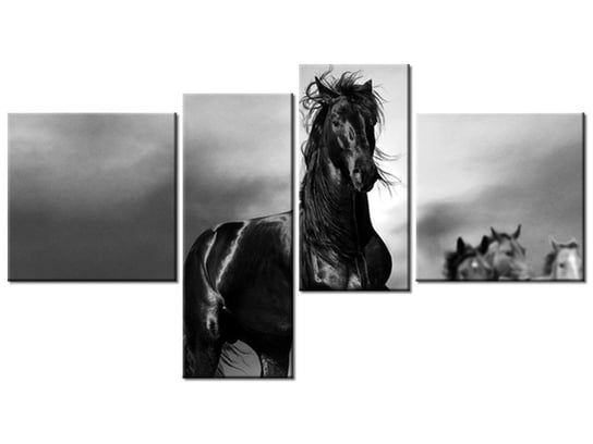 Obraz Czarny koń, 4 elementy, 100x55 cm Oobrazy