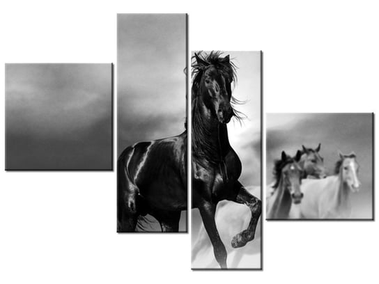 Obraz Czarny koń, 4 elementy, 100x70 cm Oobrazy