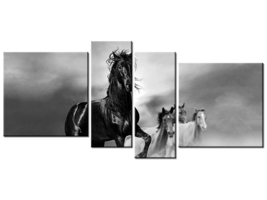 Obraz Czarny koń, 4 elementy, 120x55 cm Oobrazy