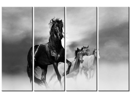 Obraz Czarny koń, 4 elementy, 120x80 cm Oobrazy