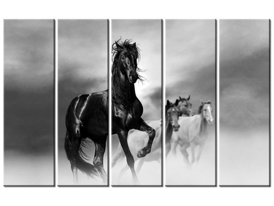 Obraz Czarny koń, 5 elementów, 100x63 cm Oobrazy