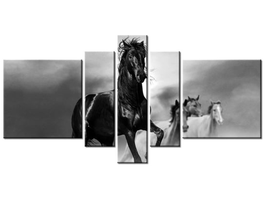 Obraz Czarny koń, 5 elementów, 160x80 cm Oobrazy