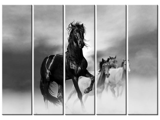 Obraz Czarny koń, 5 elementów, 225x160 cm Oobrazy