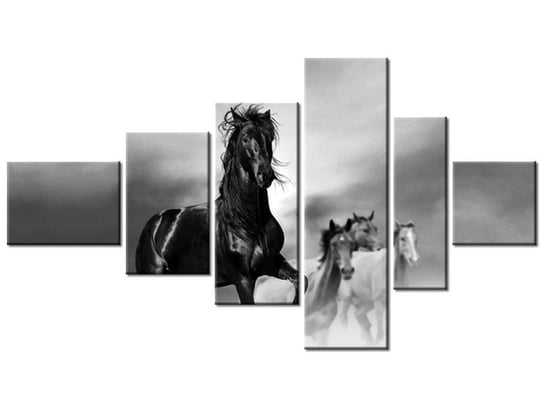 Obraz Czarny koń, 6 elementów, 180x100 cm Oobrazy