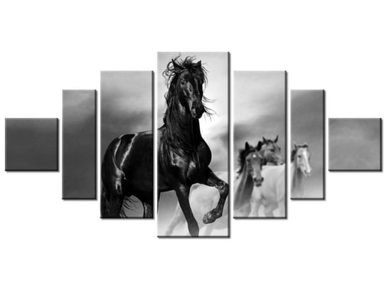 Obraz Czarny koń, 7 elementów, 200x100 cm Oobrazy