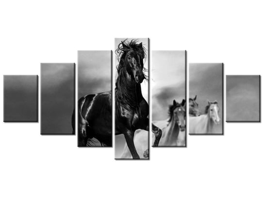 Obraz, Czarny koń, 7 elementów, 210x100 cm Oobrazy