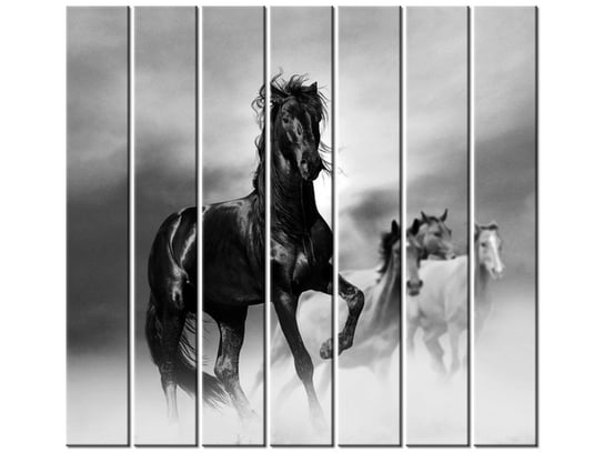 Obraz Czarny koń, 7 elementów, 210x195 cm Oobrazy