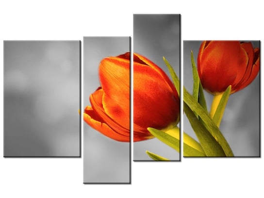Obraz Czerowne tulipany, 4 elementy, 130x85 cm Oobrazy