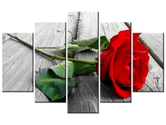Obraz, Czerwona róża, 5 elementów, 100x63 cm Oobrazy