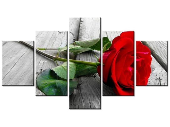Obraz Czerwona róża, 5 elementów, 125x70 cm Oobrazy
