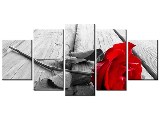 Obraz, Czerwona róża, 5 elementów, 150x70 cm Oobrazy
