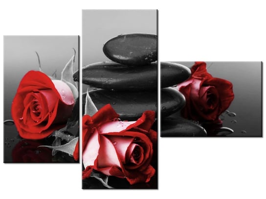Obraz Czerwone róże, 3 elementy, 100x70 cm Oobrazy