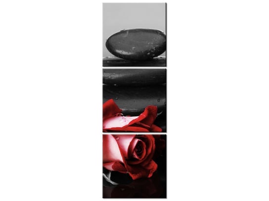 Obraz, Czerwone róże, 3 elementy, 30x90 cm Oobrazy