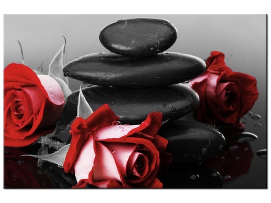 Obraz Czerwone róże, 30x20 cm Oobrazy