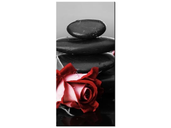 Obraz Czerwone róże, 55x115 cm Oobrazy