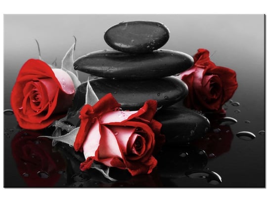 Obraz, Czerwone róże, 90x60 cm Oobrazy