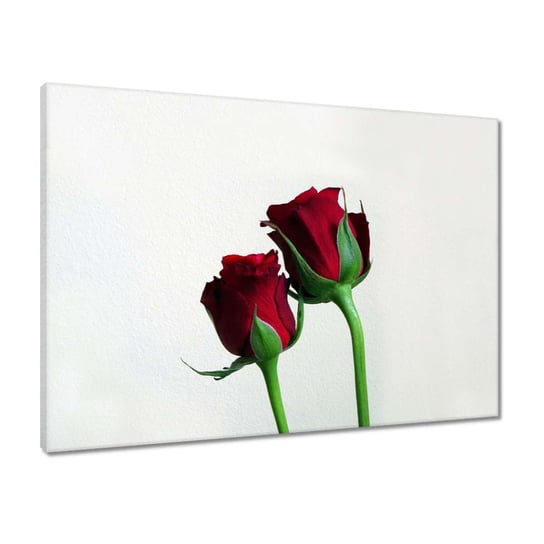 Obraz Czerwone róże dla niej, 70x50cm ZeSmakiem