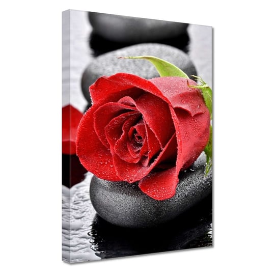 Obraz Czerwone róże Kamienie, 20x30cm ZeSmakiem