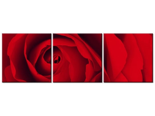 Obraz Czewona róża, 3 elementy, 90x30 cm Oobrazy