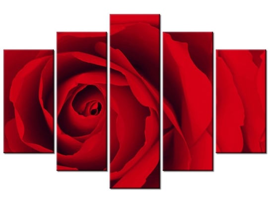 Obraz Czewona róża, 5 elementów, 150x100 cm Oobrazy
