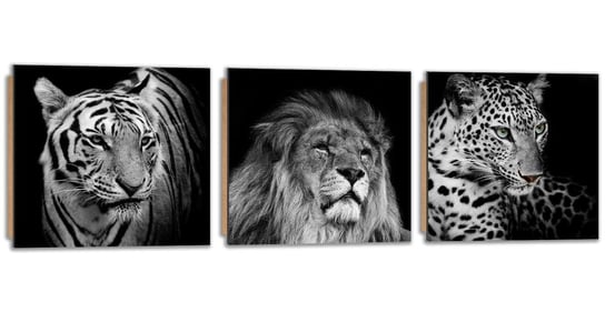 Obraz / Deco panel FEEBY, Trzy dzikie koty, 120x40 cm Feeby