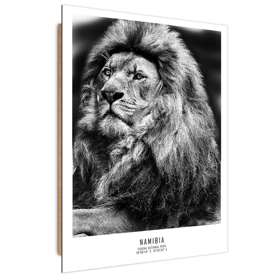 Obraz dekoracyjny FEEBY, Afryka Lew Zwierzęta 60x90 Feeby