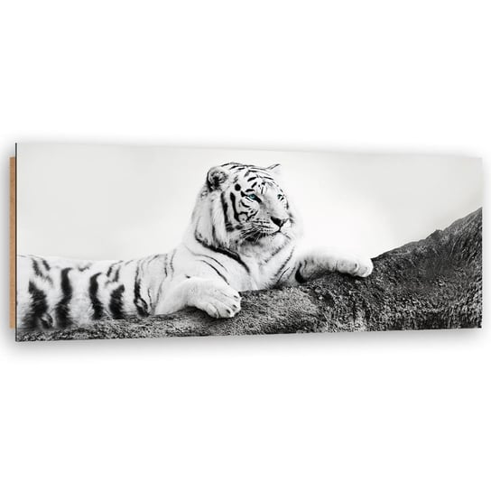 Obraz dekoracyjny FEEBY, Afryka Tygrys Zwierzęta 150x50 Feeby