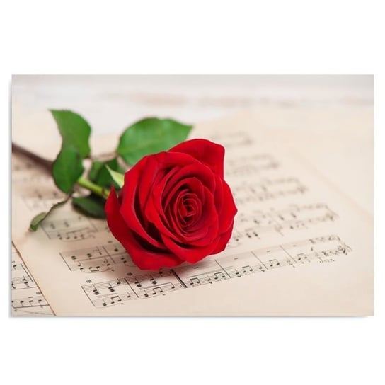 Obraz dekoracyjny FEEBY, Czerwona Róża Kwiat Muzyka 40x30 Feeby