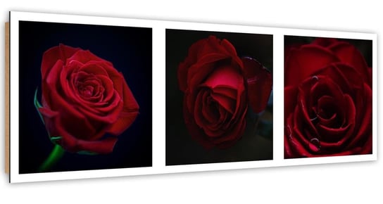 Obraz dekoracyjny FEEBY, Czerwone Róże Zestaw 140x45 Feeby