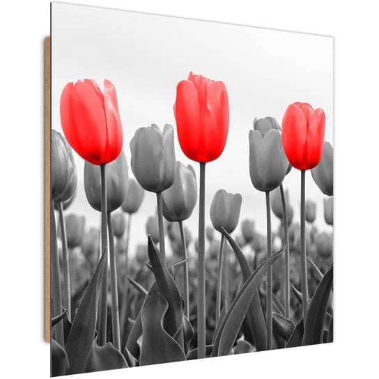 Obraz dekoracyjny FEEBY, Czerwone Tulipany na łące 60x60 Feeby