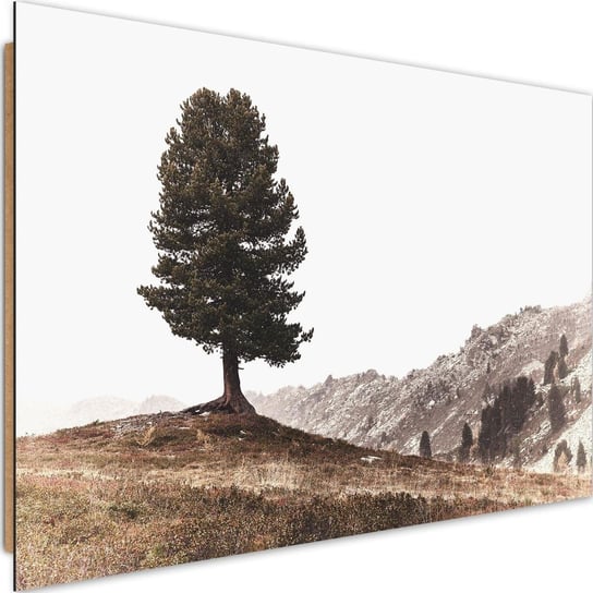Obraz dekoracyjny FEEBY, Drzewo Góry Natura 120x80 Feeby