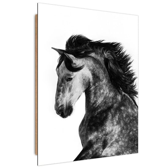 Obraz dekoracyjny FEEBY, Koń Zwierzęta Galop 40x60 Feeby