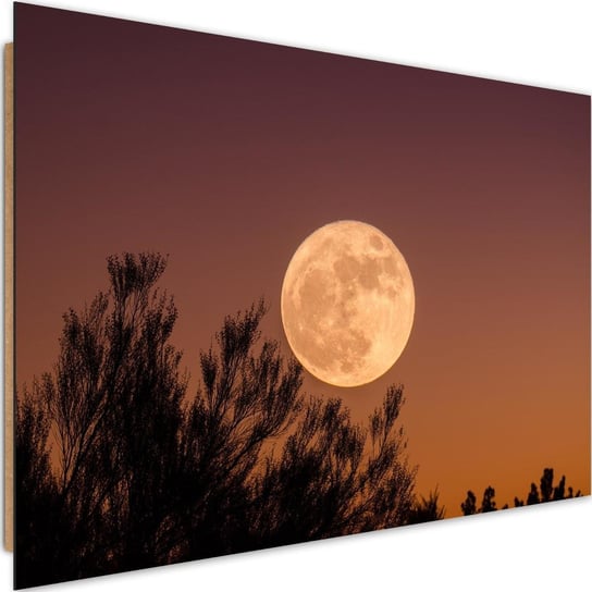 Obraz dekoracyjny FEEBY, Księżyc Pełnia Drzewa 120x80 Feeby