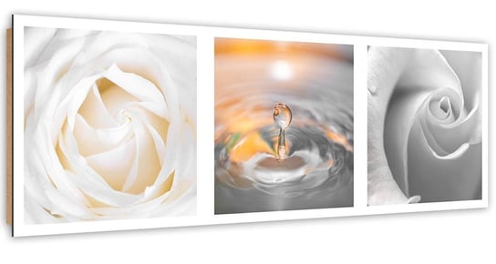 Obraz dekoracyjny FEEBY, Kwiaty Białe Róże zestaw 120x40 Feeby